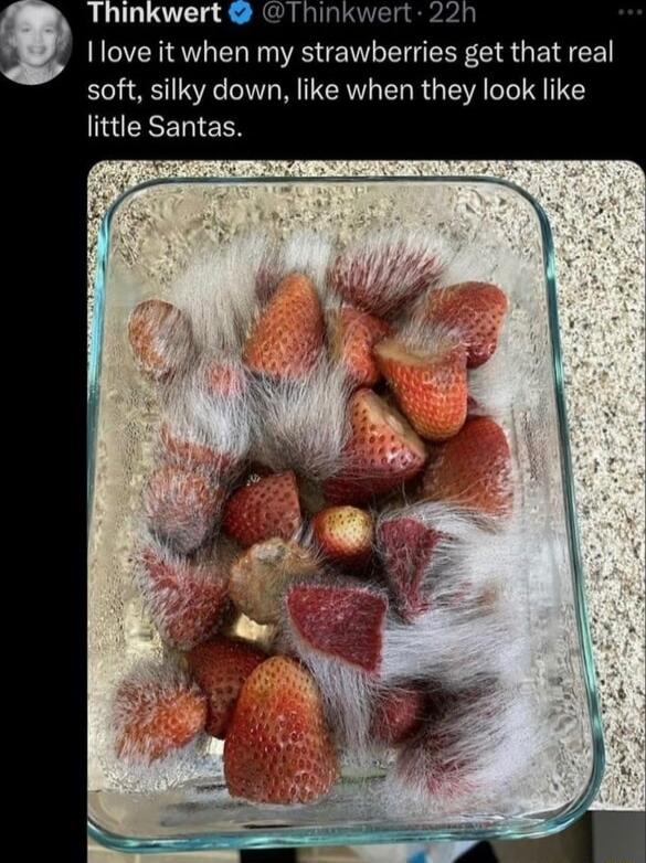 I love it when my strawberries get that real soft silky down like when they look like little Santas