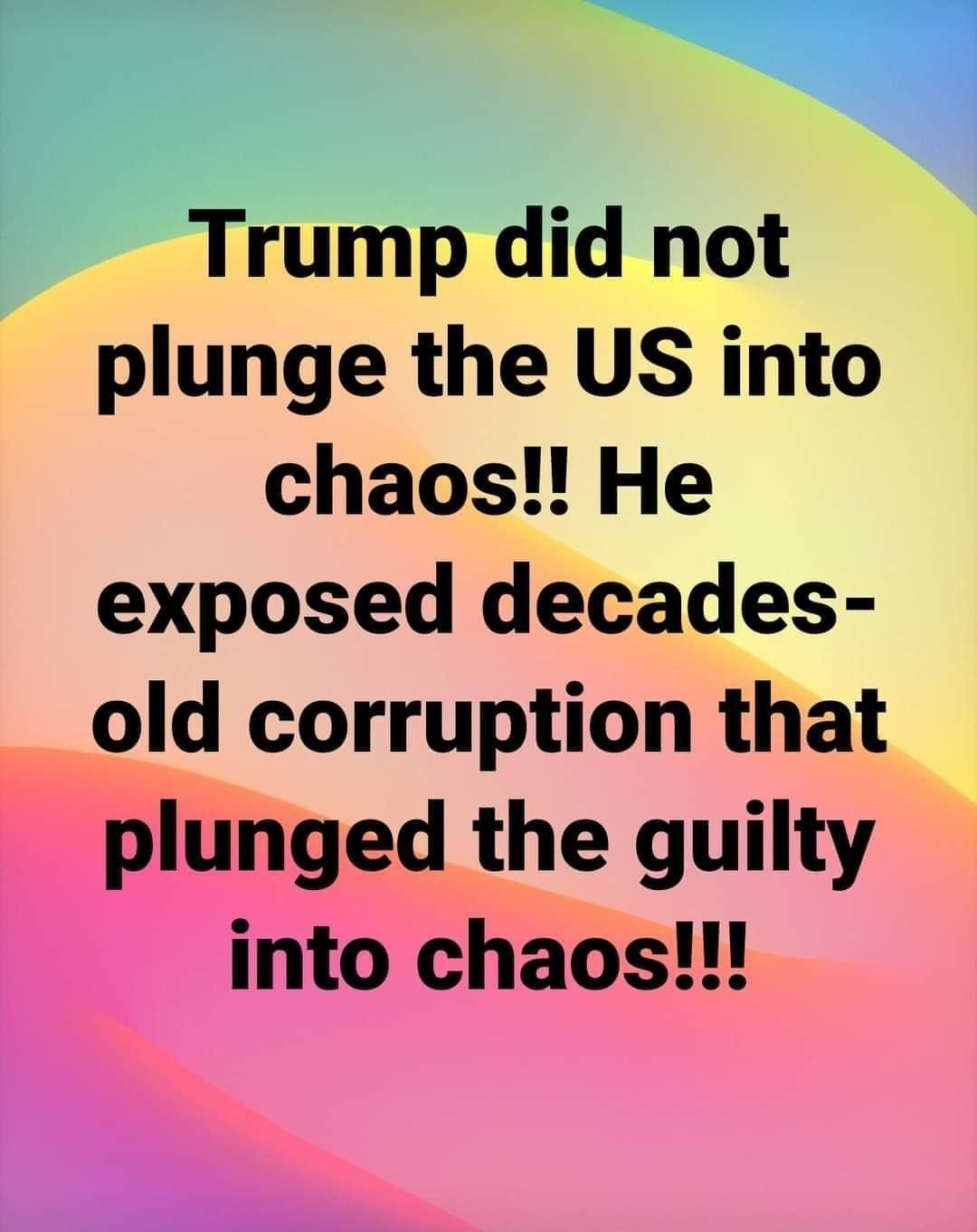 Trump did not plunge the US into chaos He exposed decades old corruption that plunged the guilty into chaos