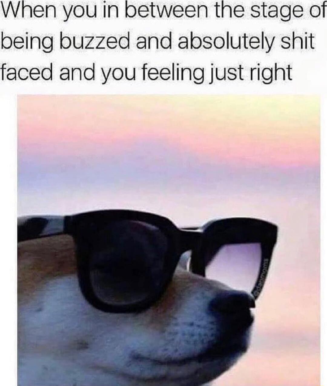 When you in between the stage of being buzzed and absolutely shit faced and you feeling just right