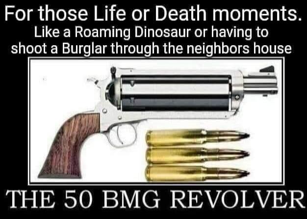 For those Life or Death moments. Like a Roaming Dinosaur or having to shoot a Burglar through the neighbors house. THE 50 BMG REVOLVER