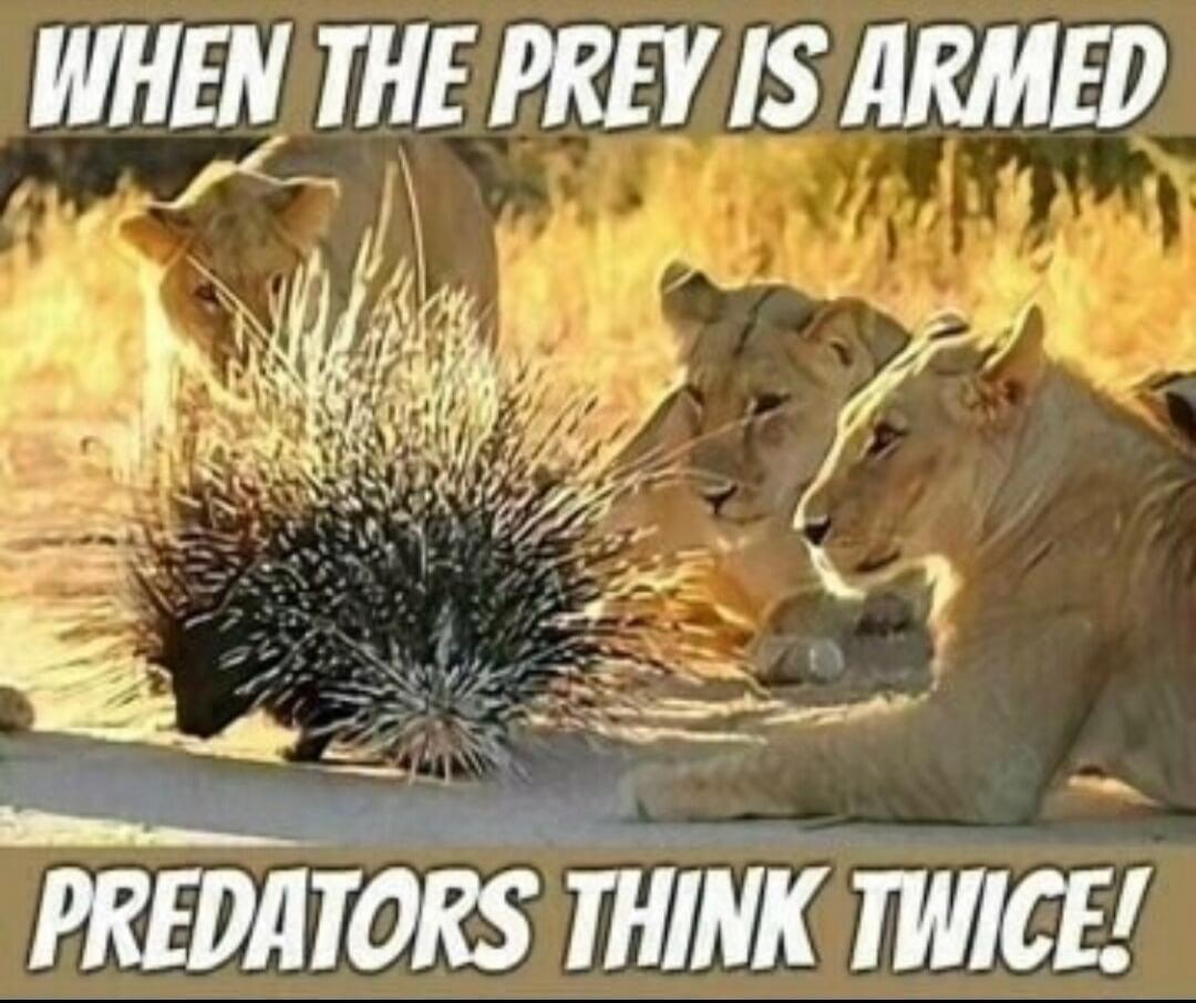 WHEN THE PREY IS ARMED PREDATORS THINK TWICE!