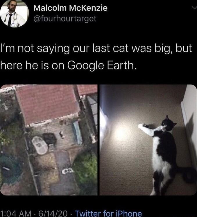 Malcolm McKenzie fourhourtarget Im not saying our last cat was big but here he is on Google Earth 104 AM 61420 Twitter for iPhone
