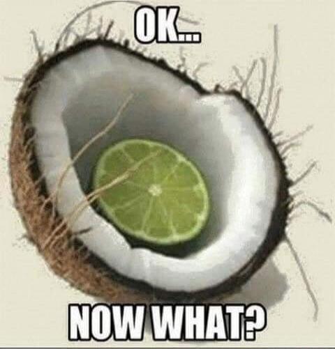 OK... NOW WHAT?