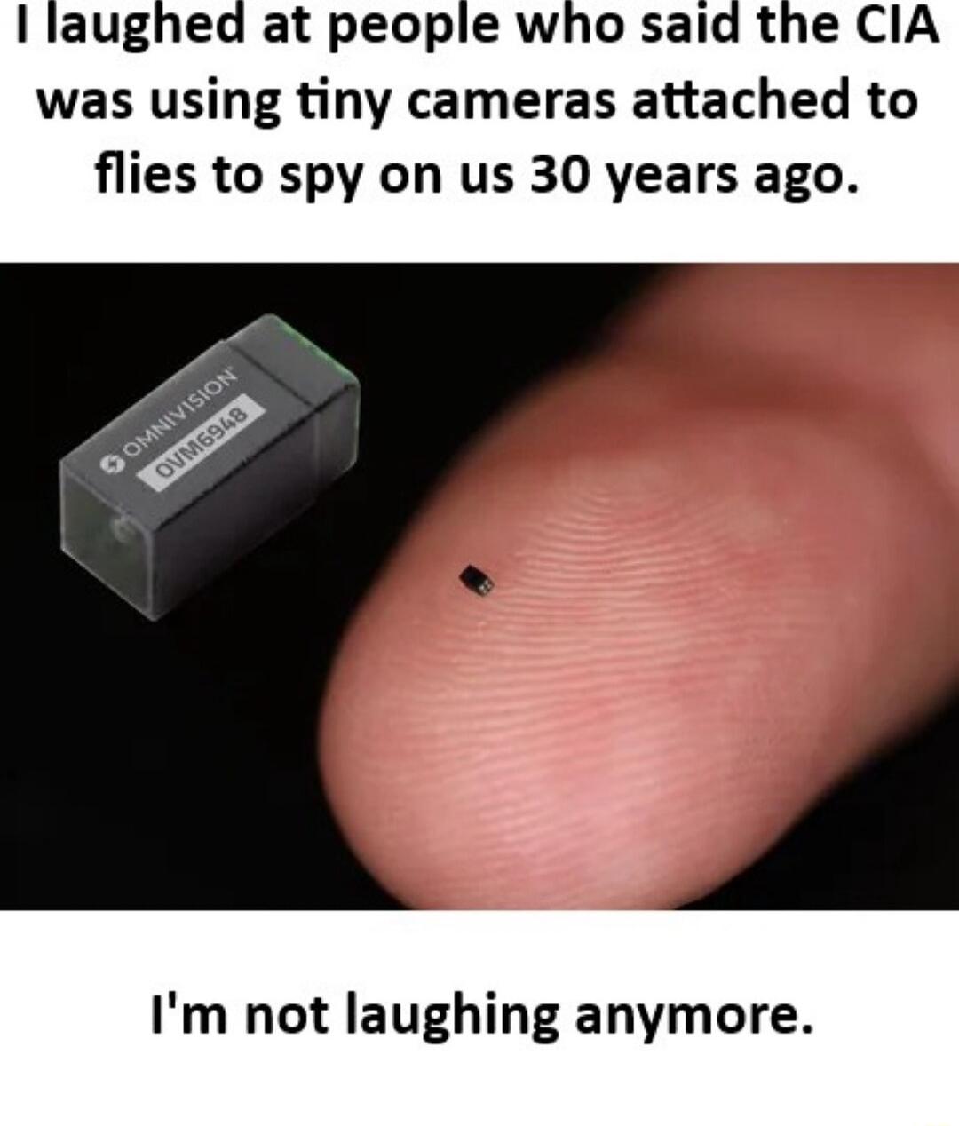 I laughed at people who said the CIA was using tiny cameras attached to flies to spy on us 30 years ago. I'm not laughing anymore.
