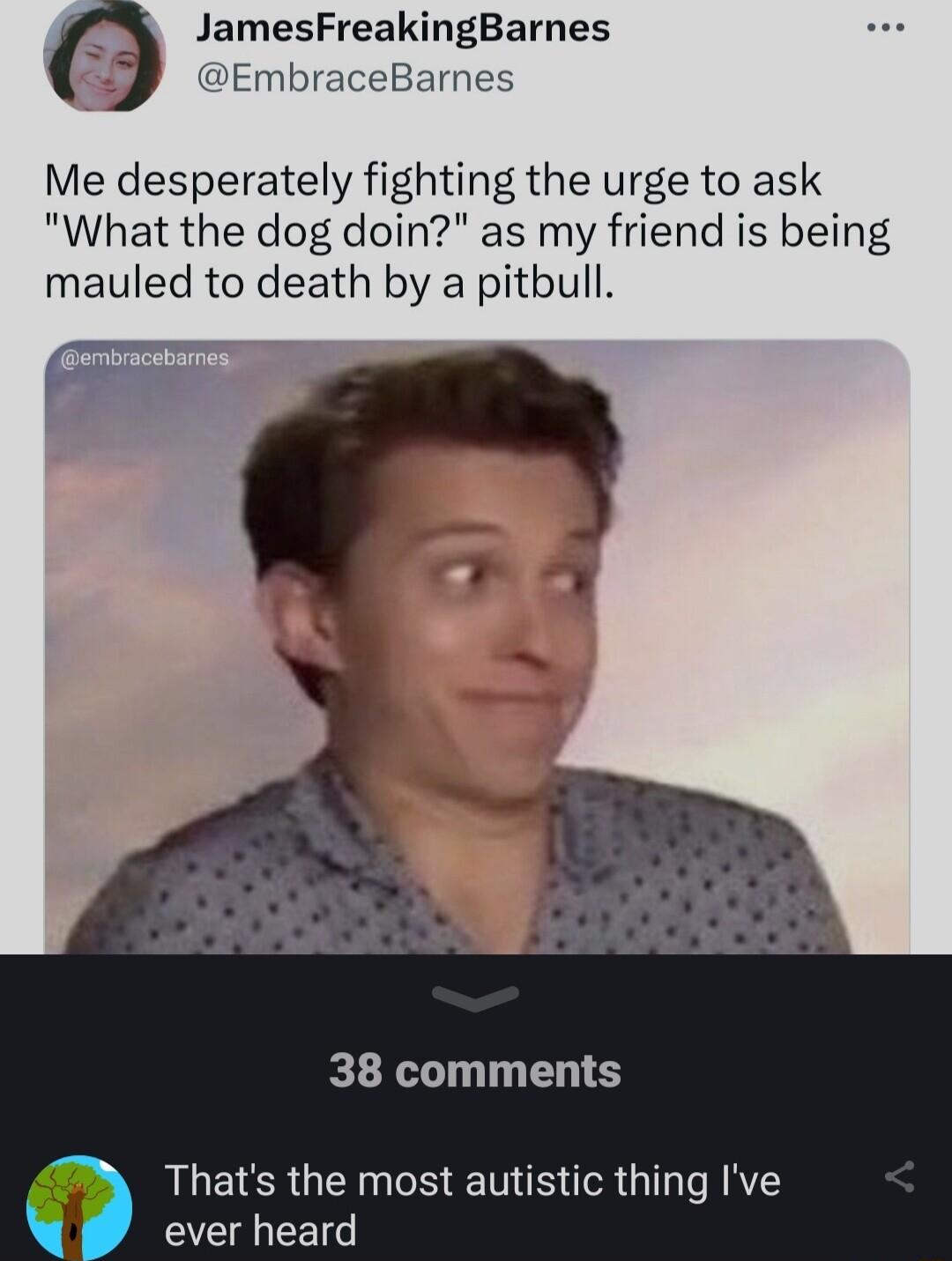 JamesFreakingBarnes EmbraceBarnes Me desperately fighting the urge to ask What the dog doin as my friend is being mauled to death by a pitbull o 38 comments Thats the most autistic thing Ive ever heard