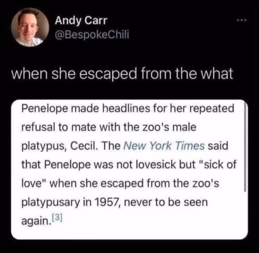 i Andy Carr when she escaped from the what Penelope made headlines for her repeated refusal to mate with the zoos male platypus Cecil The New Yc es said that Penelope was not lovesick but sick of love when she escaped from the zoos platypusary in 1957 never to be seen again