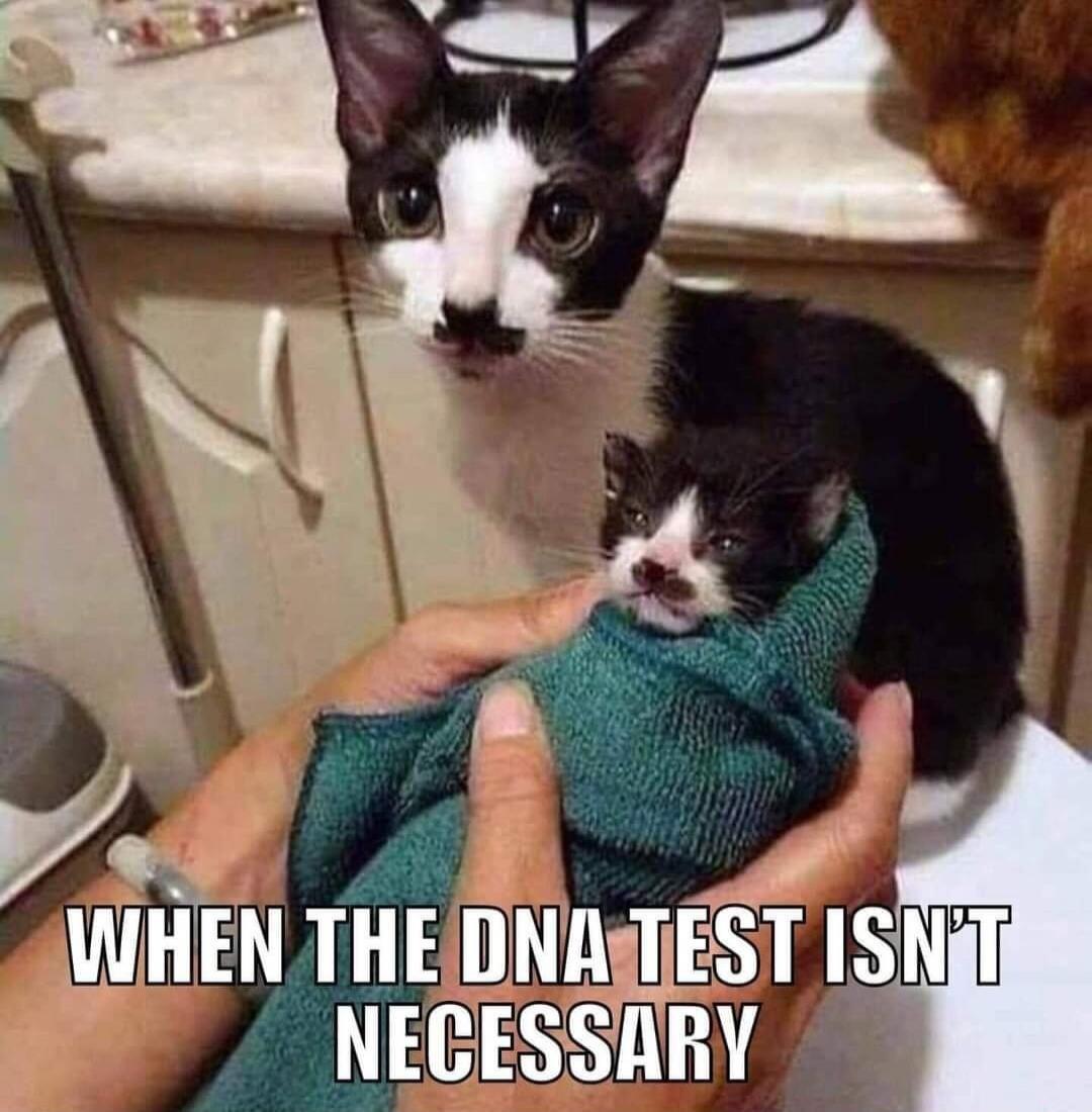 WHEN THE DNA TEST ISN'T NECESSARY