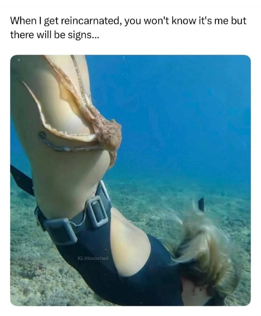 When I get reincarnated, you won't know it's me but there will be signs...