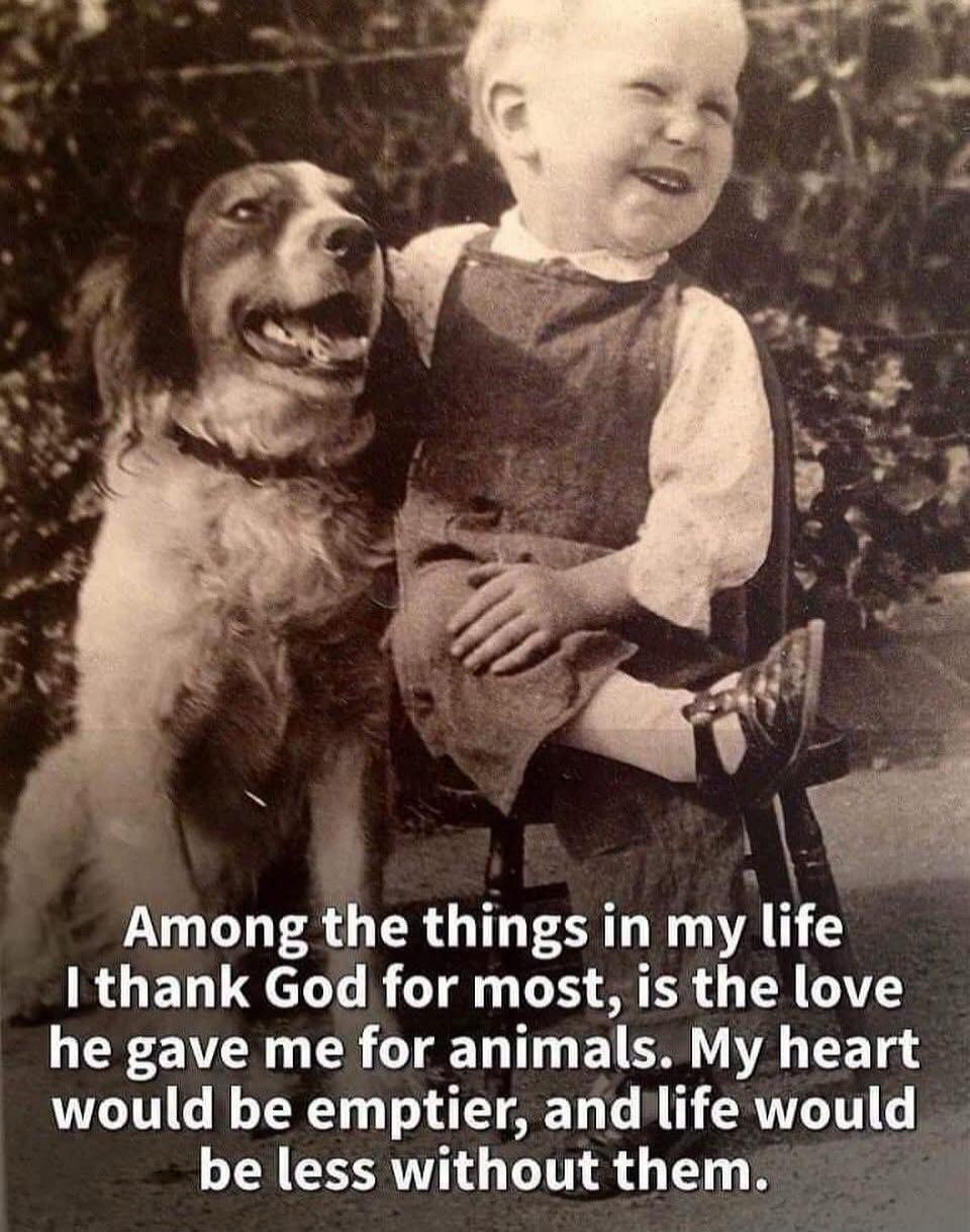 Among the things in my life I thank God for most, is the love he gave me for animals. My heart would be emptier, and life would be less without them.