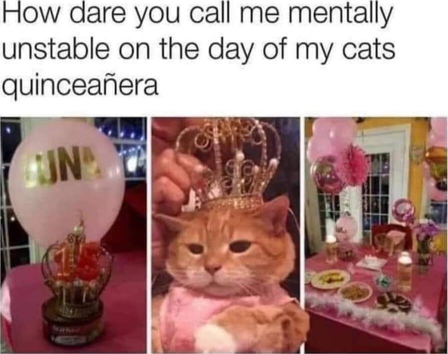 dare you call me mentally unstable on the day of my cats quinceanera