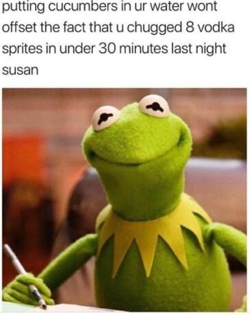 putting cucumbers In ur water wont offset the fact that u chugged 8 vodka sprites in under 30 minutes last night susan