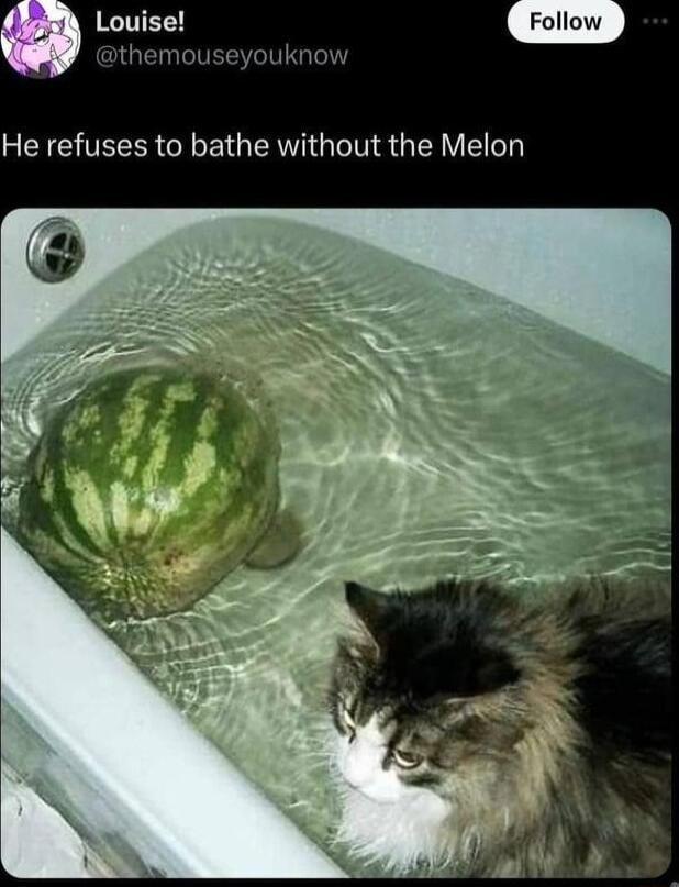 XINEL ythemou He refuses to bathe without the Melon