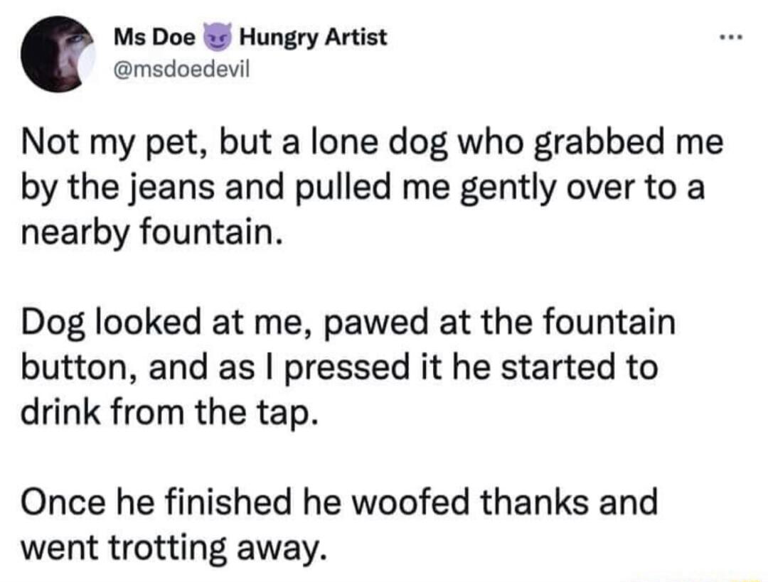 Ms Doe Hungry Artist msdoedevil Not my pet but a lone dog who grabbed me by the jeans and pulled me gently over to a nearby fountain Dog looked at me pawed at the fountain button and as pressed it he started to drink from the tap Once he finished he woofed thanks and went trotting away