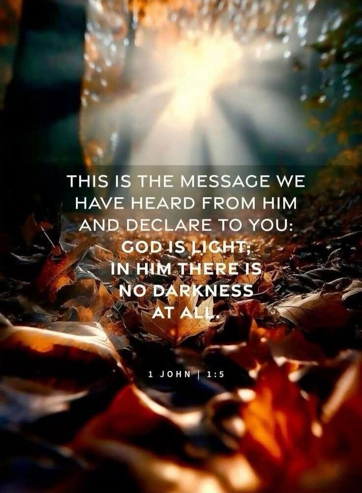 THIS IS THE MESSAGE WE HAVE HEARD FROM HIM AND DECLARE TO YOU: GOD IS LIGHT; IN HIM THERE IS NO DARKNESS AT ALL
1 JOHN 1:5
