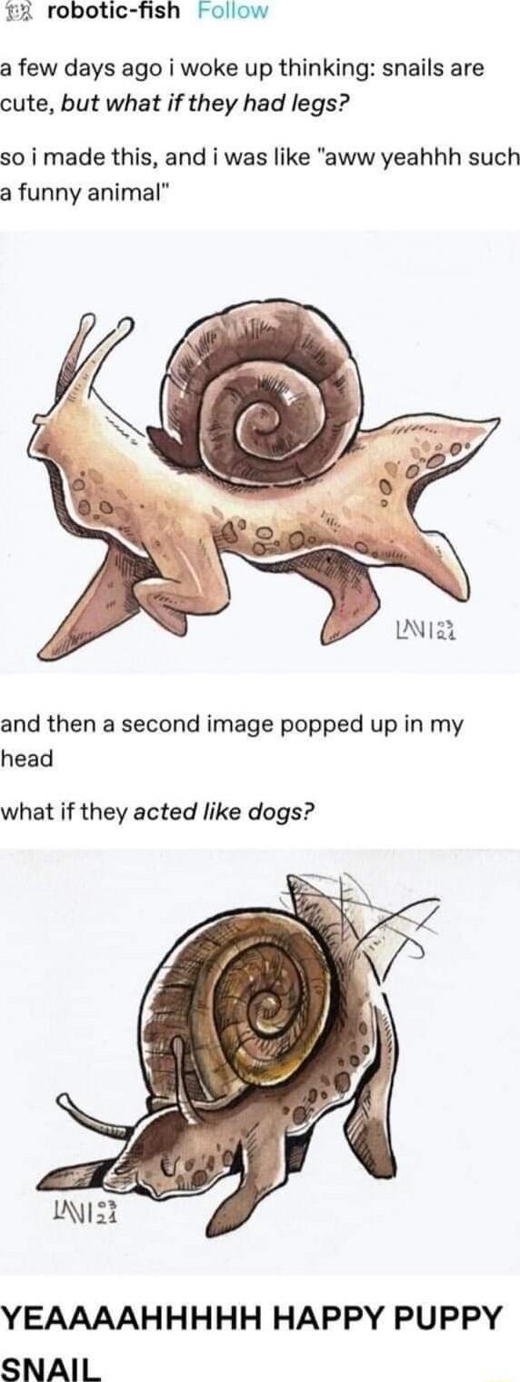 robotic fish Follow a few days ago i woke up thinking snails are cute but what if they had legs so i made this and i was like aww yeahhh such a funny animal and then a second image popped up in my head what if they acted like dogs ISt YEAAAAHHHHH HAPPY PUPPY SNAIL