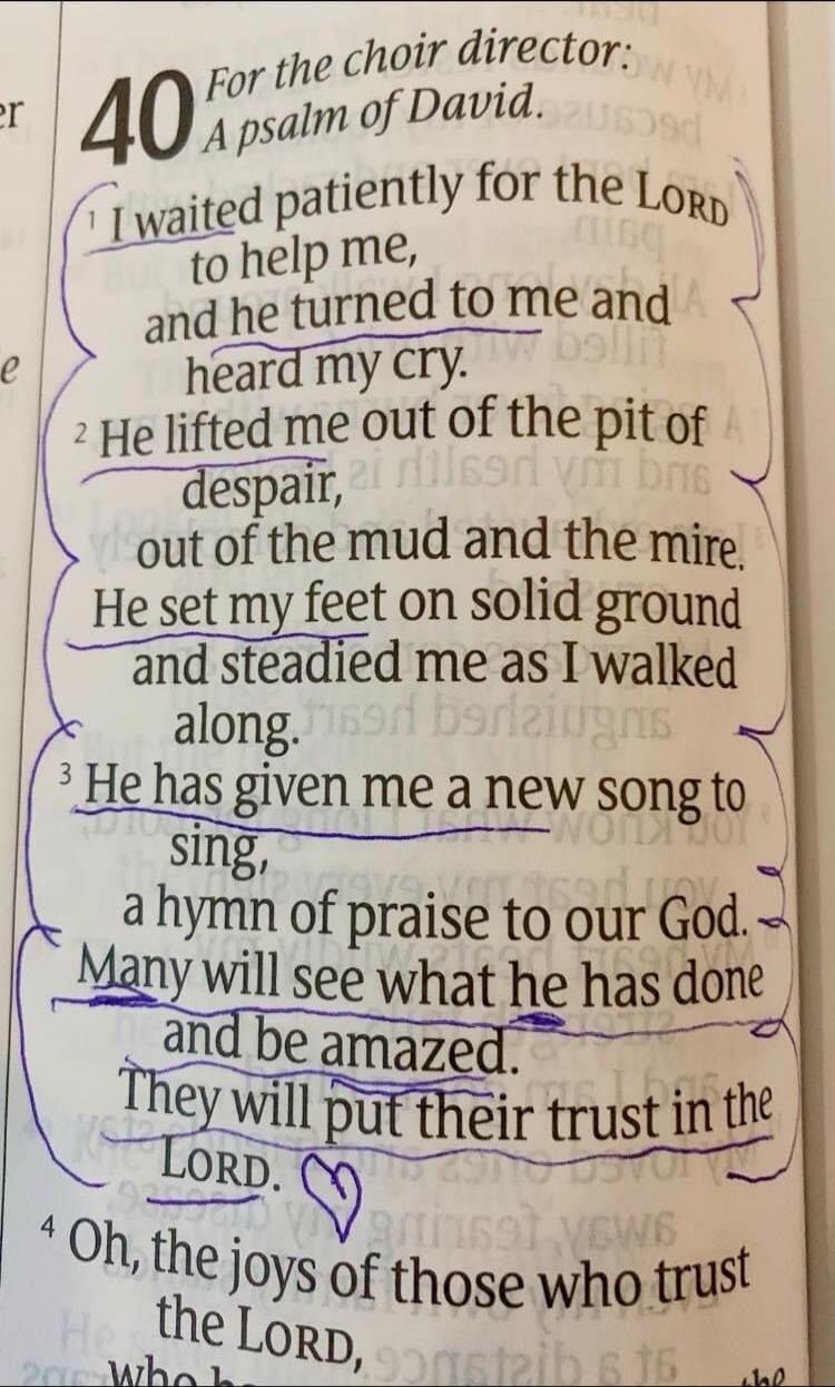 40 For the choir director: A psalm of David. 1 I waited patiently for the LORD to help me, and he turned to me and heard my cry. 2 He lifted me out of the pit of despair, out of the mud and the mire. He set my feet on solid ground and steadied me as I walked along. 3 He has given me a new song to sing, a hymn of praise to our God. Many will see wha