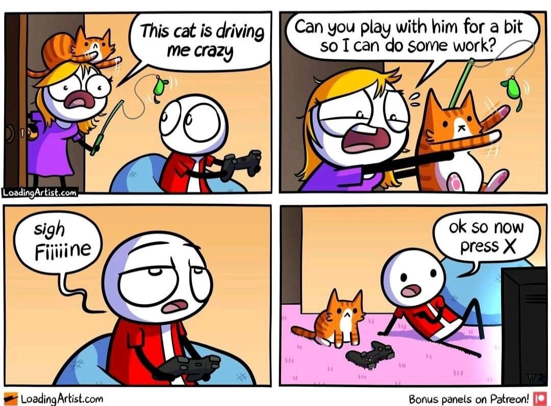 Can you play with him for a bit R St w3 This cat is driving B LodnaMrbistcom