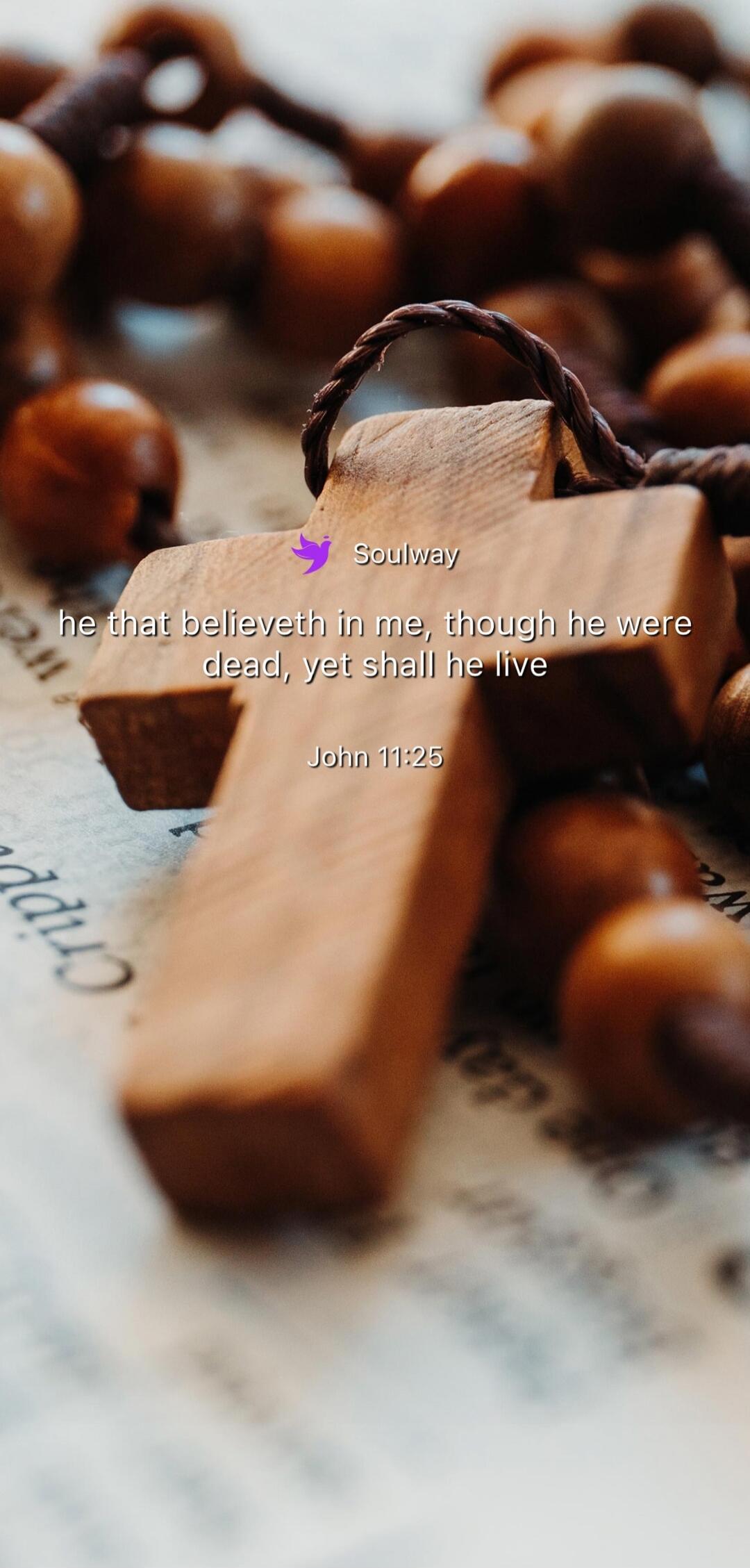 Soulway he that believeth in me, though he were dead, yet shall he live John 11:25