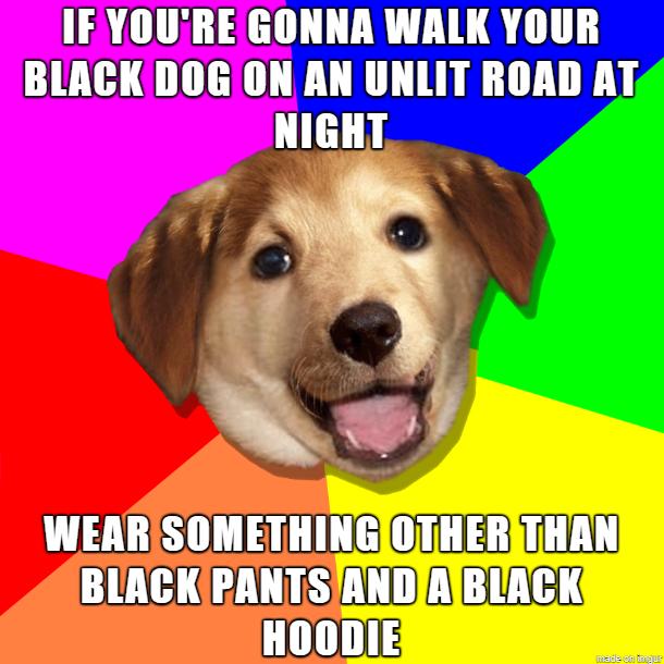 IFYOUREGONNA WALK YOUR BLACKDOGION AN UNLIT ROAD AT