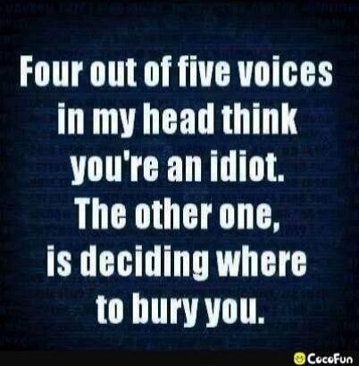 Four out of five voices in my head think you're an idiot. The other one, is deciding where to bury you.