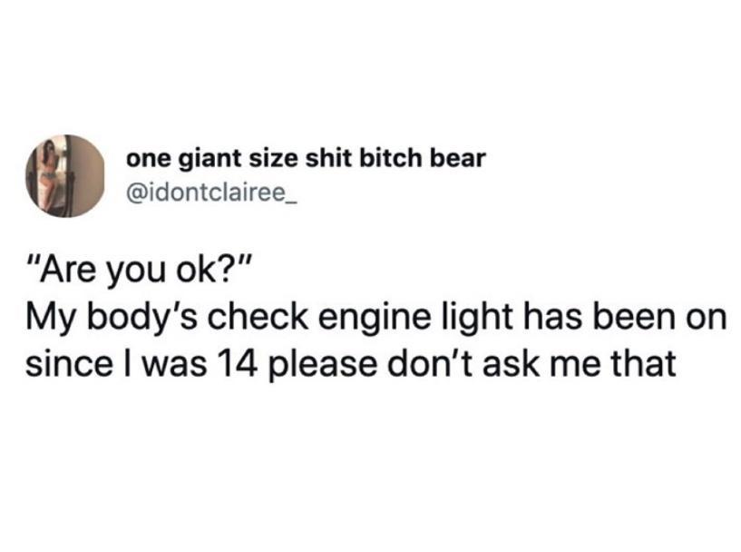 one giant size shit bitch bear idontclairee_ Are you ok My bodys check engine light has been on since was 14 please dont ask me that