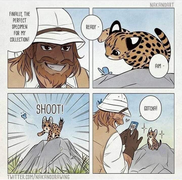 FIVALY THE PEIFECT SHECHEN R MY TNt