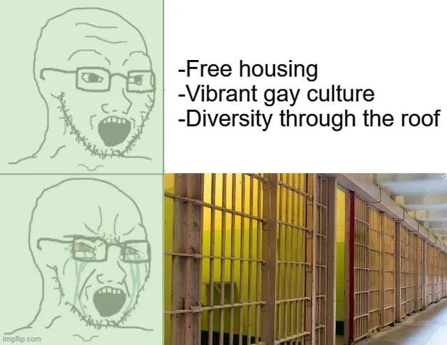 Free housing Vibrant gay culture o Diversity through the roof x O ty 2