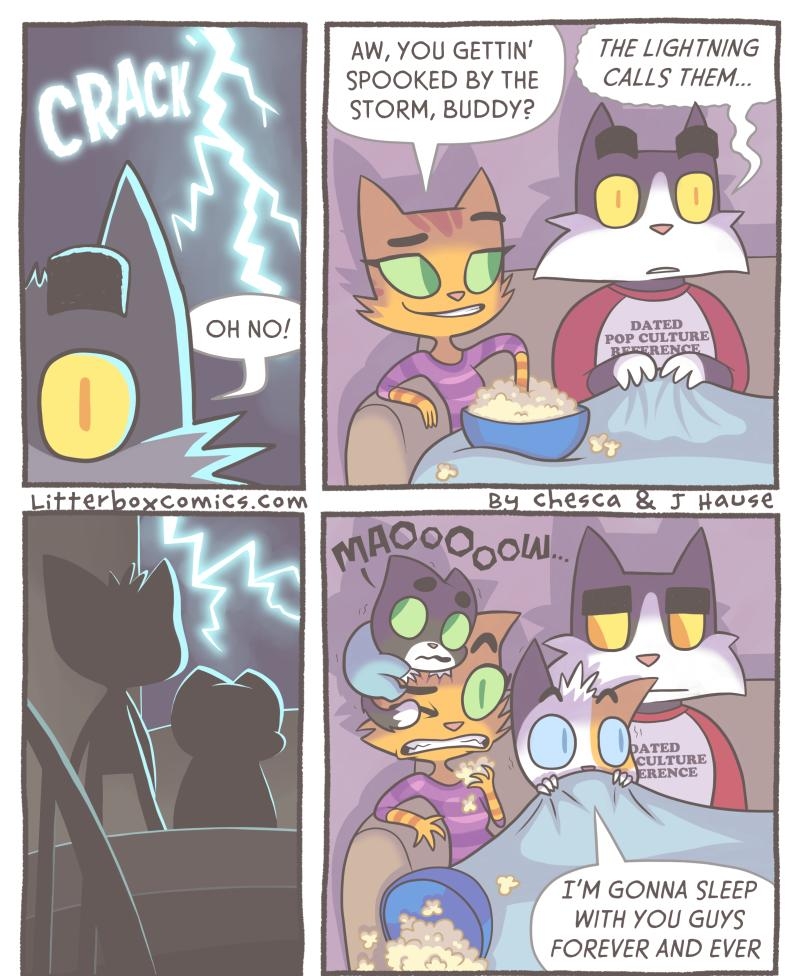 AW YOU GETTIN SPOOKED BY THE STORM BUDDY b M GONNA SLEEP WITH YOU GUYS FOREVER AND EVER