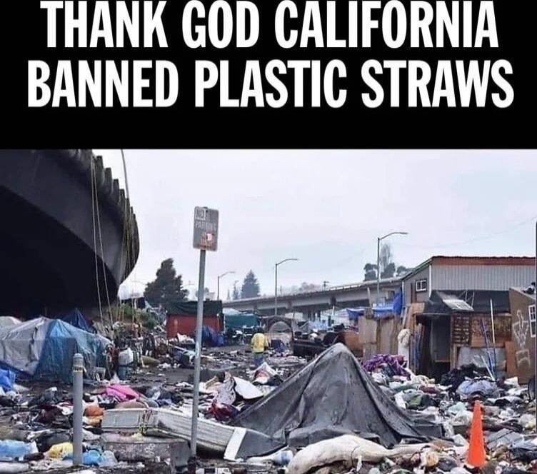 THANK GOD CALIFORNIA BANNED PLASTIC STRAWS