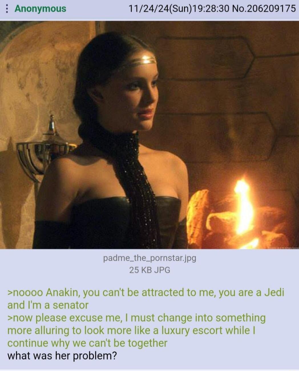 Anonymou 112424Sun192830 No206209175 noooo Anakin you cant be attracted to me you are a Jedi and Im a senator now please excuse me must change into something more alluring to look more like a luxury escort while continue why we cant be together what was her problem