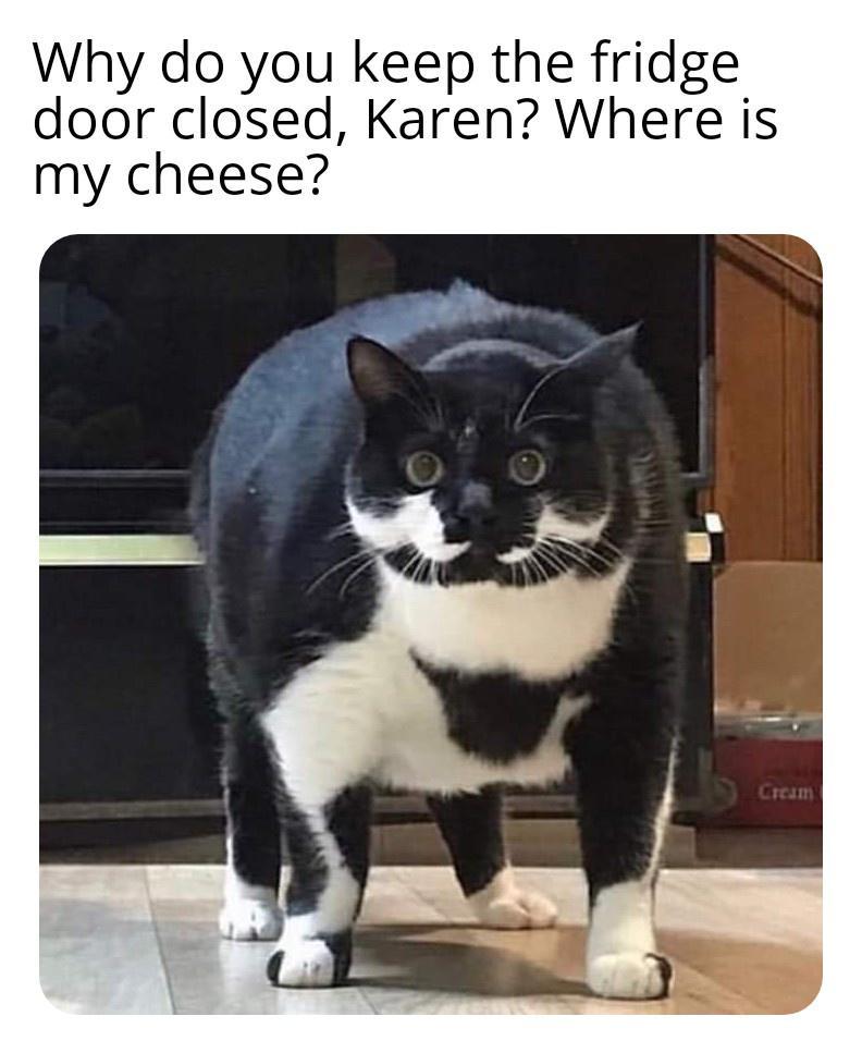 Why do you keep the fridge door closed Karen Where is my cheese