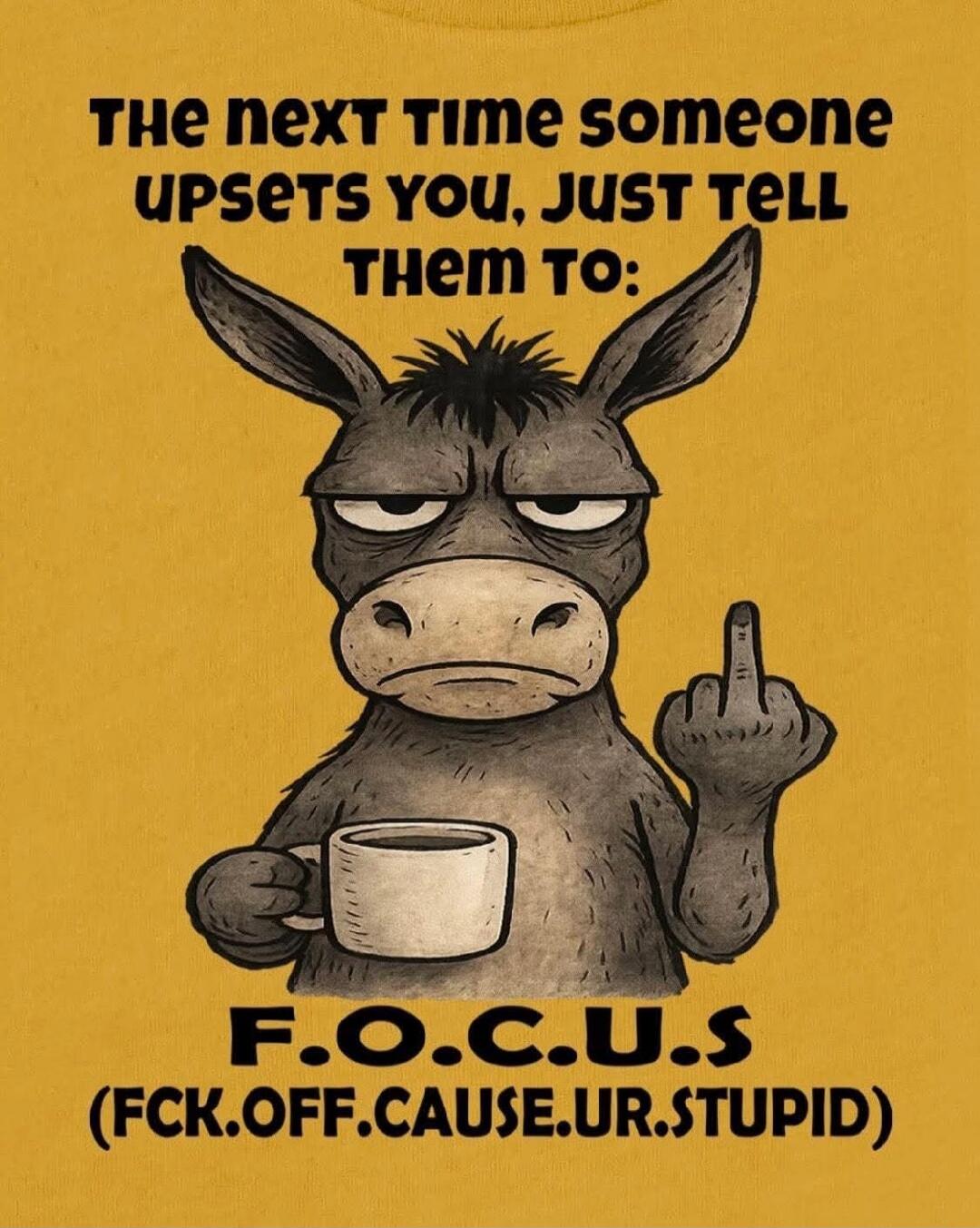 THE NEXT TIME SOMEONE UPSETS YOU, JUST TELL THEM TO: F.O.C.U.S (FCK.OFF.CAUSE.UR.STUPID)