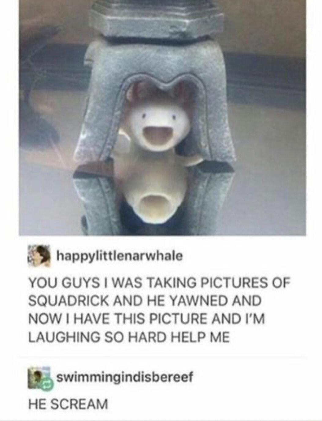 happylittienarwhale YOU GUYS WAS TAKING PICTURES OF SQUADRICK AND HE YAWNED AND NOW HAVE THIS PICTURE AND IM LAUGHING SO HARD HELP ME swimmingindisbereef HE SCREAM