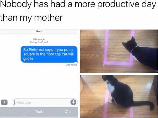 Nobody has had a more productive day than my mother