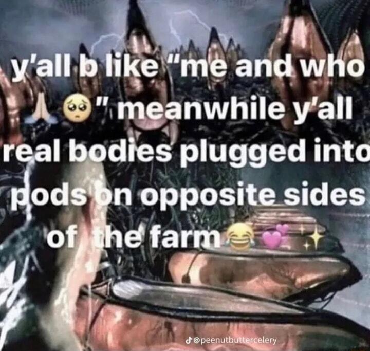 kxlga m anid wlla tAQ nganwhlle vall real bodles plugged intc pod noppos1tesldes
