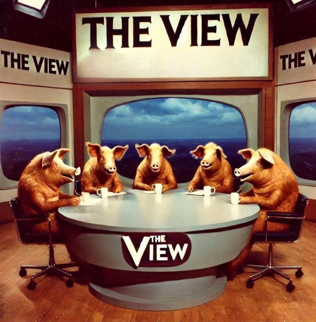 THE VIEW (set) The View logo on the desk; five pigs sitting around a talk-show style desk