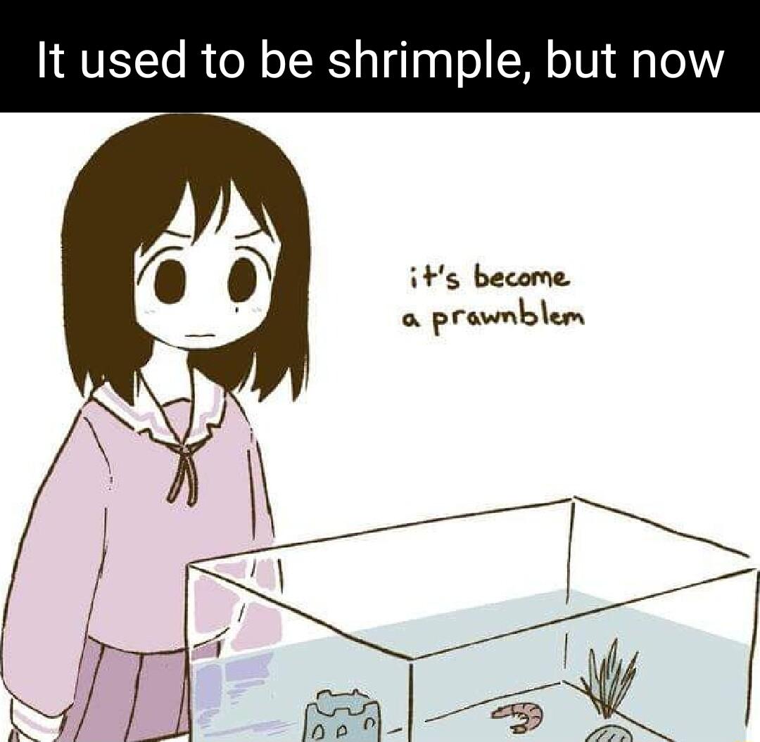It used to be shrimple but now