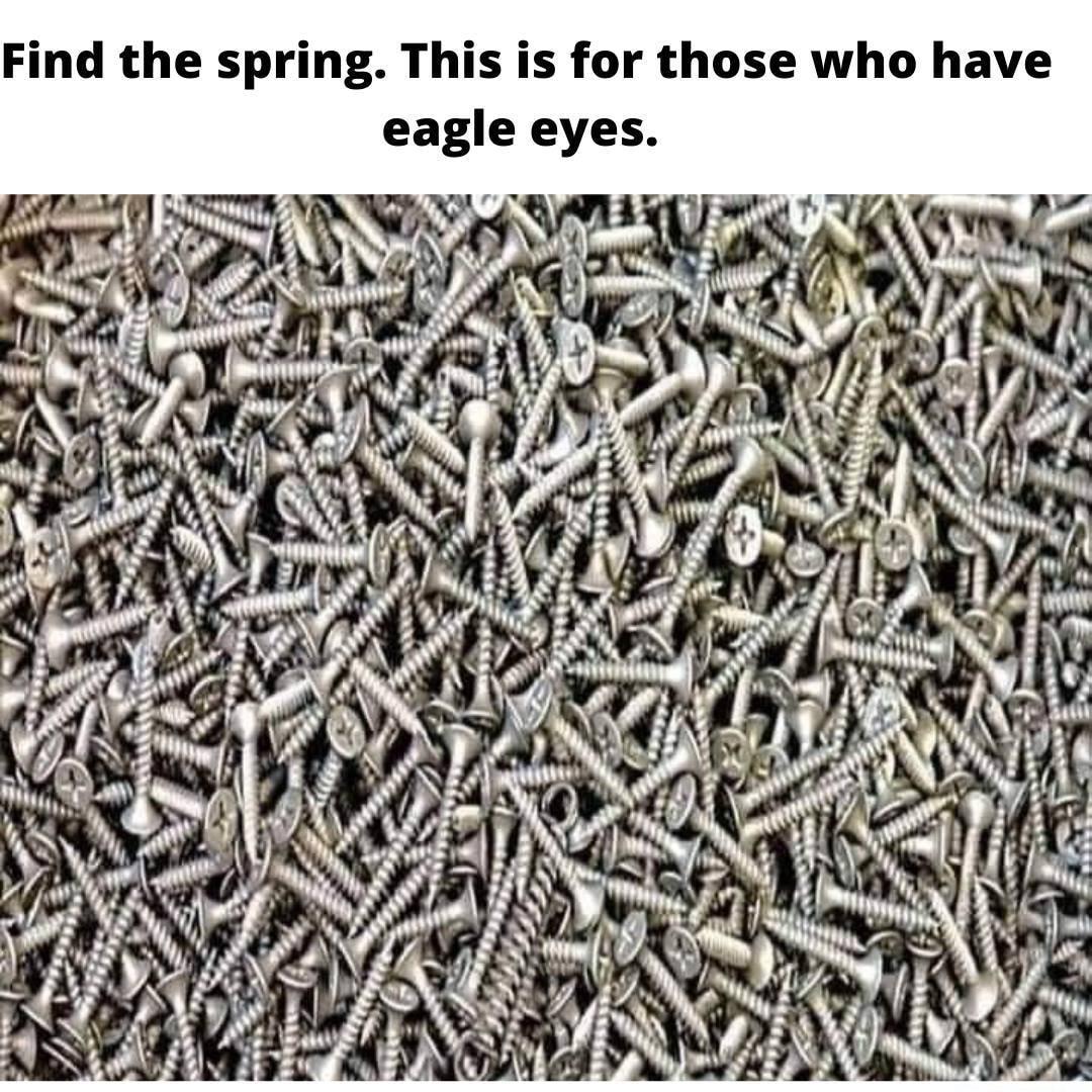 Find the spring This is for those who have eagle eyes