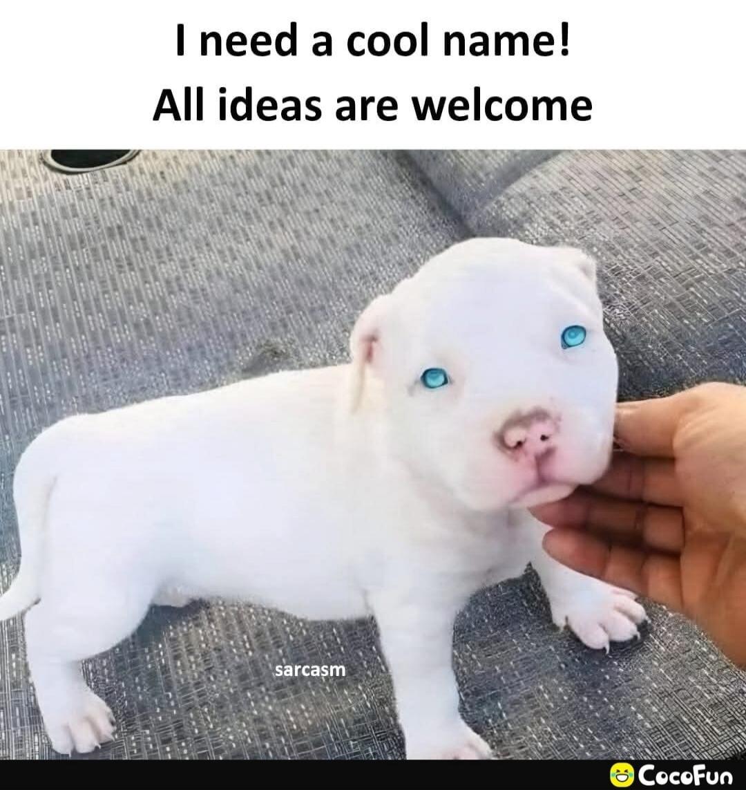 I need a cool name! All ideas are welcome. sarcasm