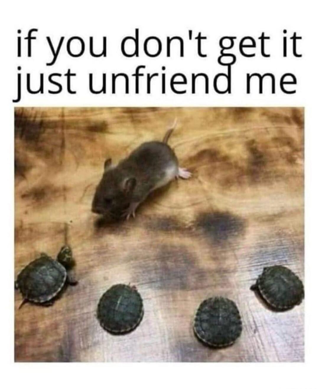 if you don't get it just unfriend me