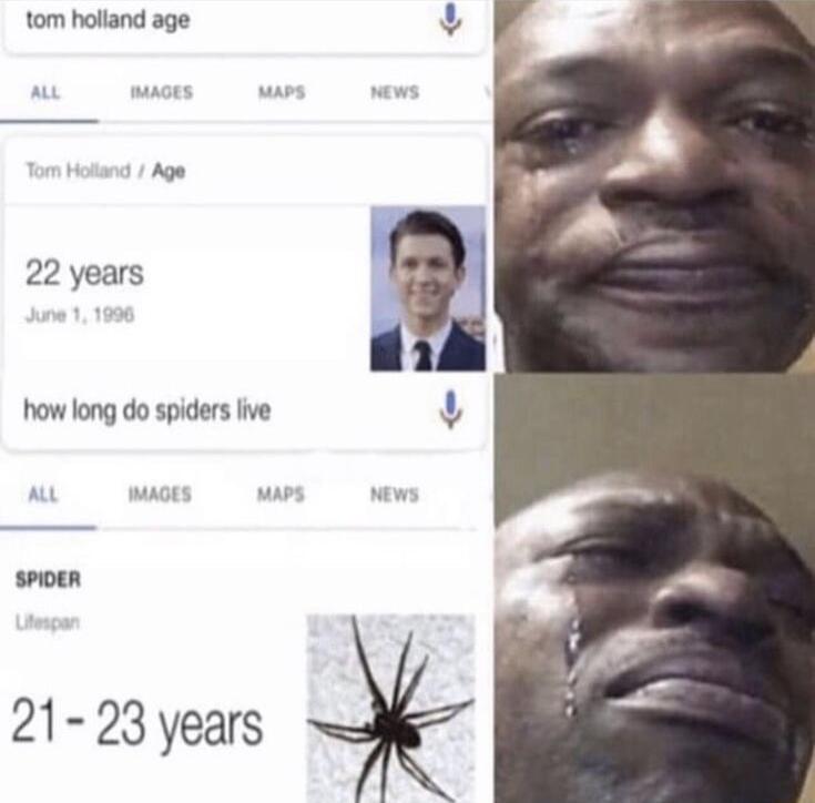 22 years how long do spiders ive 21 23 years