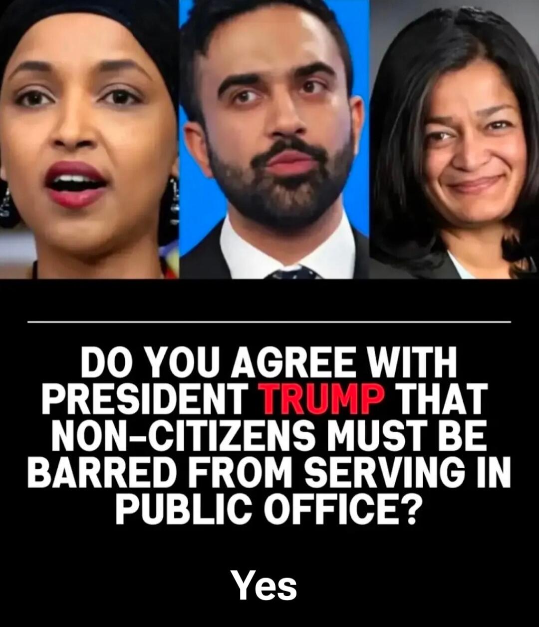 DO YOU AGREE WITH PRESIDENT TRUMP THAT NON-CITIZENS MUST BE BARRED FROM SERVING IN PUBLIC OFFICE? Yes