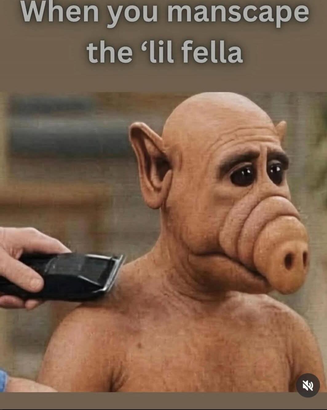 When you manscape the ‘lil fella