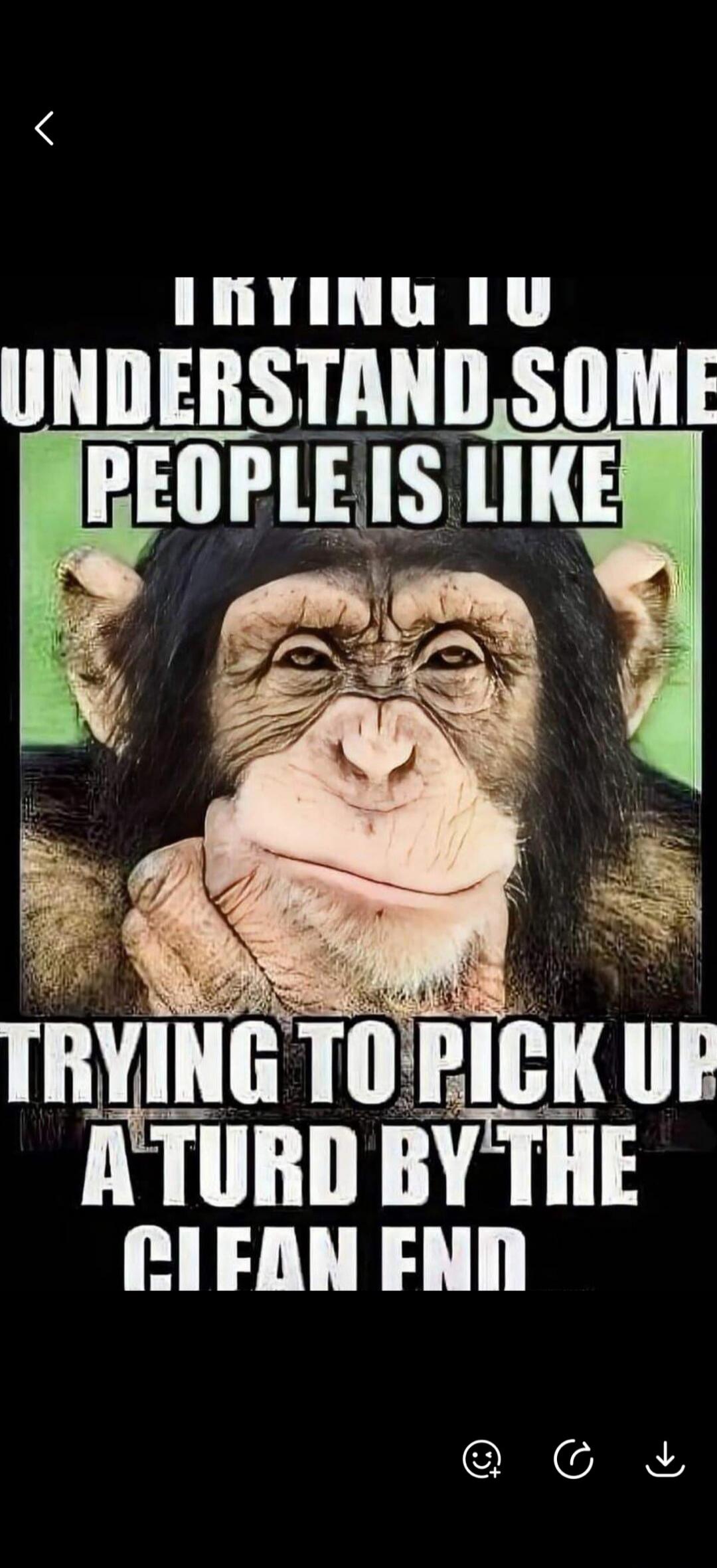 TRYING TO UNDERSTAND SOME PEOPLE IS LIKE TRYING TO PICK UP A TURD BY THE CLEAN END