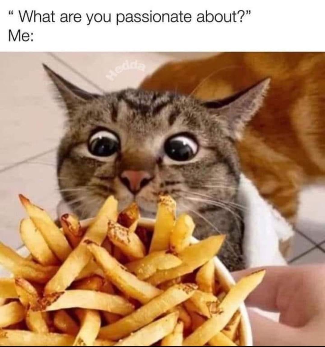 What are you passionate about