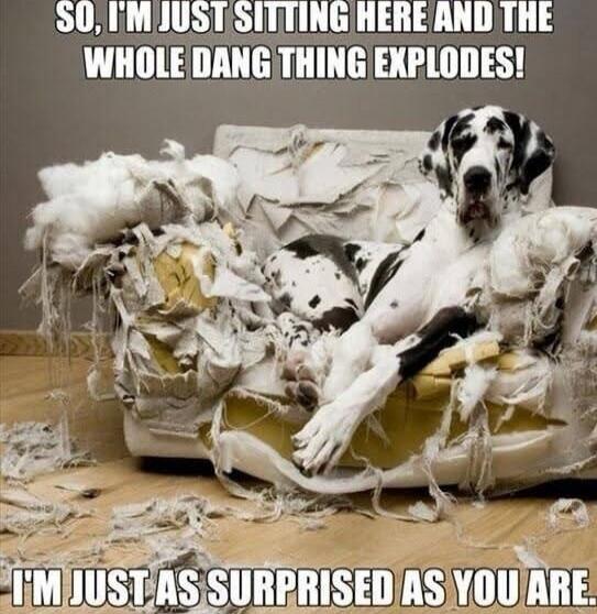 SO, I'M JUST SITTING HERE AND THE WHOLE DANG THING EXPLODES! I'M JUST AS SURPRISED AS YOU ARE.