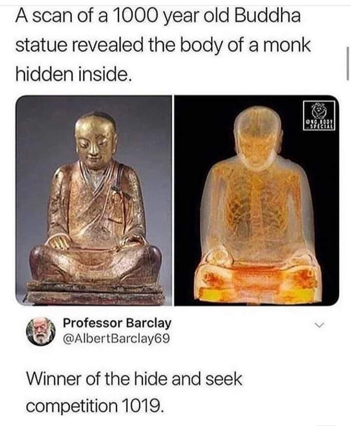 A scan of a 1000 year old Buddha statue revealed the body of a monk hidden inside Professor Barclay o AlbertBarclay69 Winner of the hide and seek competition 1019