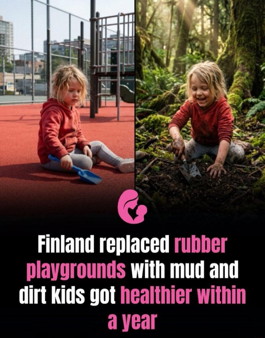 Finland replaced rubber playgrounds with mud and dirt kids got healthier within a year