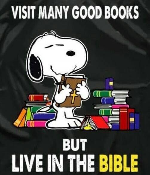 VISIT MANY GOOD BOOKS BUT LIVE IN THE BIBLE