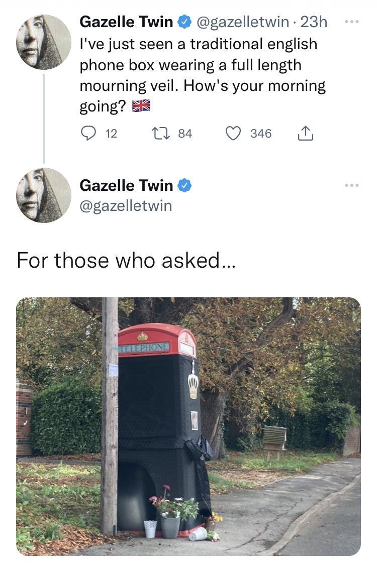 For those who asked Gazelle Twin gazelletwin 23h Ive just seen a traditional english phone box wearing a full length mourning veil Hows your morning going 58 Q 12 1 84 Q ms N Gazelle Twin gazelletwin